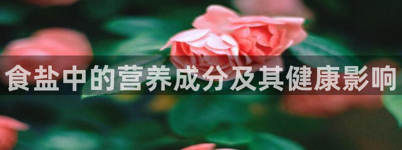 威九国际惠子
