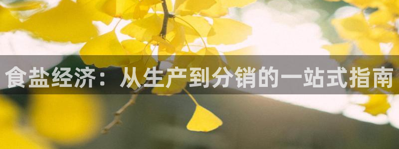 威九国际app下载