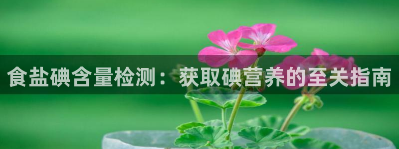 威九国际66