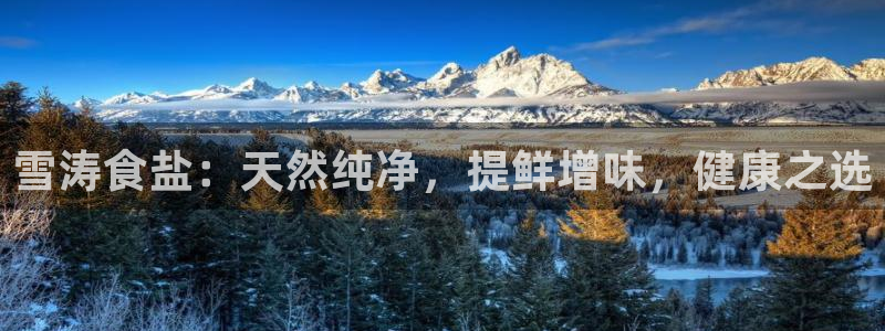 威九国际体育app下载