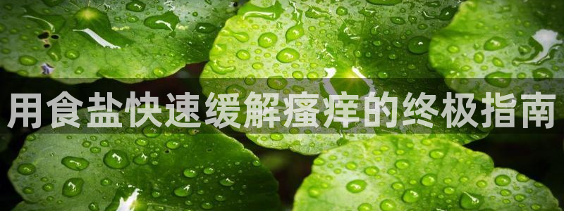 威九国际app网站安全吗