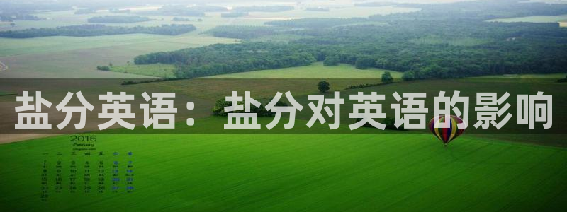 威九国际电视