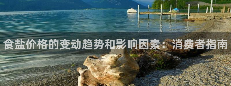 威九国际官网版