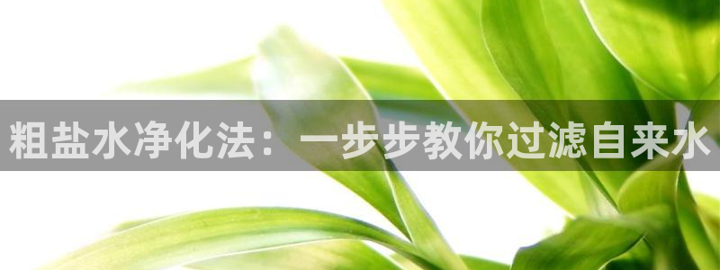 78mapp威九国际一