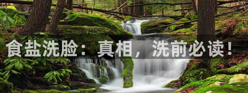 威九国际旗下艺人都有谁
