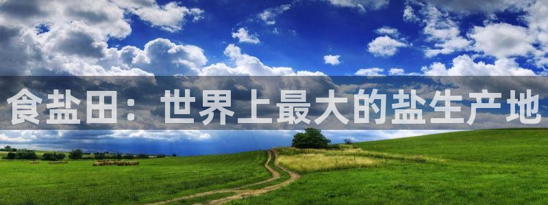 威九国际成长模式