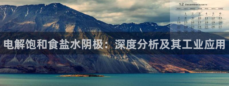 威九国际网站入囗