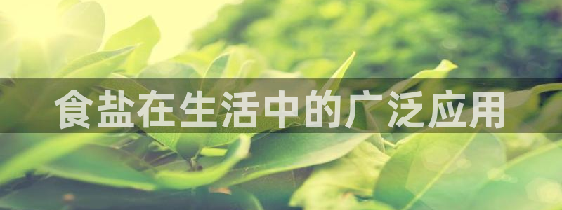 78mapp威九国际人民网