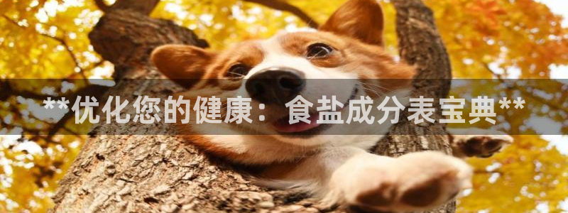 威九国际精彩推荐怎么样