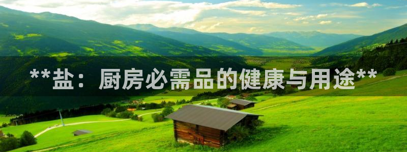 威九国际空降