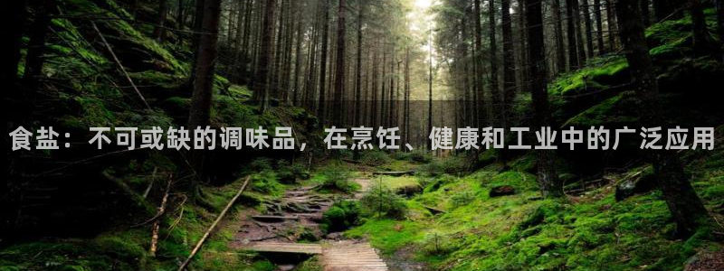 威九国际APP大全