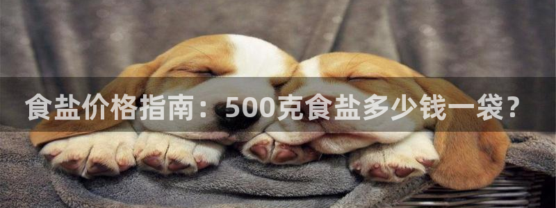 威九国际网站官网
