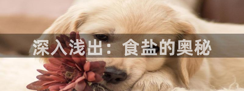 威九国际新人白发