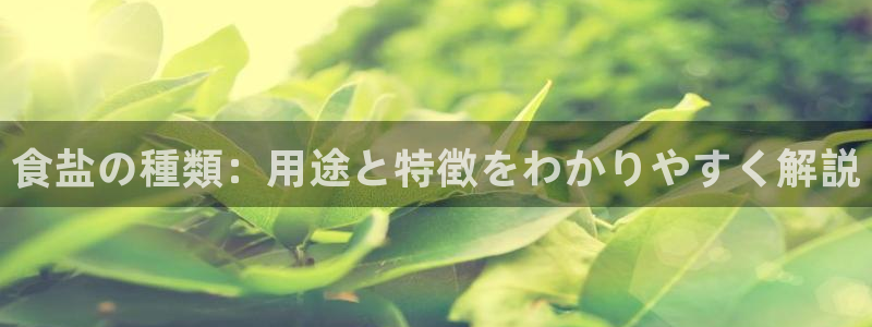 威九国际旗下艺人
