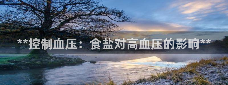 威九国际的金融服务