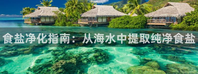 威九国际的女主