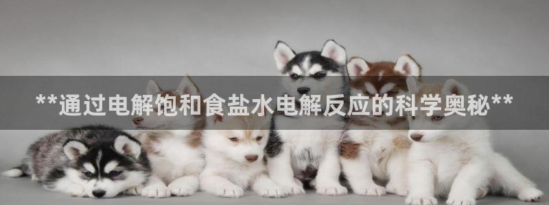 威九国际网站安全吗可靠吗