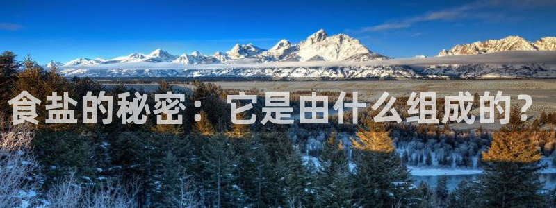 威九国际网站安全吗