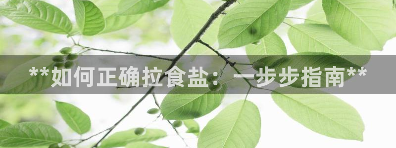 威九国际网站