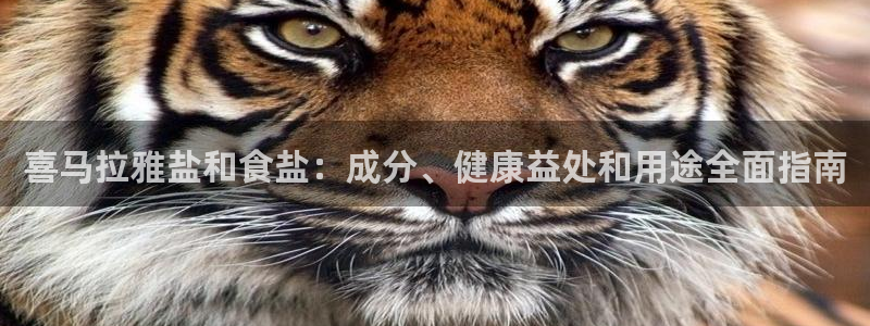 威九国际正规吗