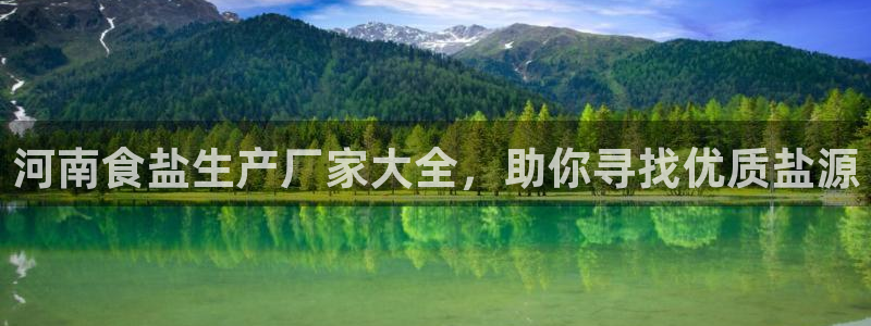 威九国际软件公司简介