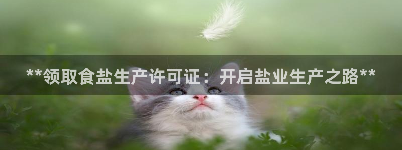 威九国际可以退钱吗怎么退