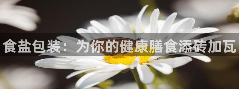 威九国际网站下载