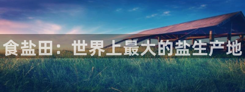 威九国际女明星