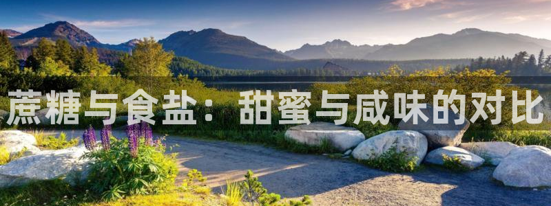 威九国际78m小说