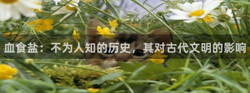 威九国际fX8x