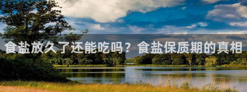 威九国际v9