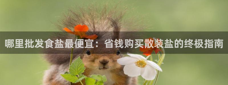 威九国际客服电话