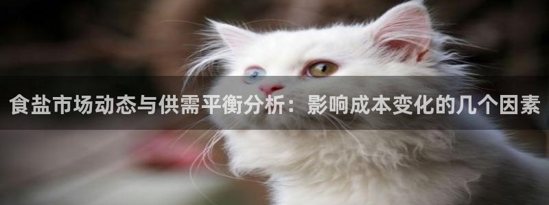 威九国际v96 bet会黑吗