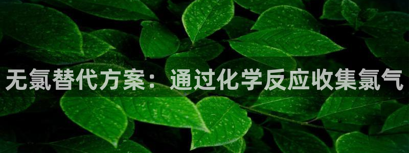 威九国际top