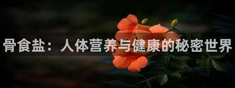 威九国际的金融服务