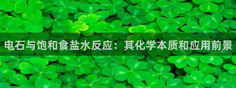 威九国际com