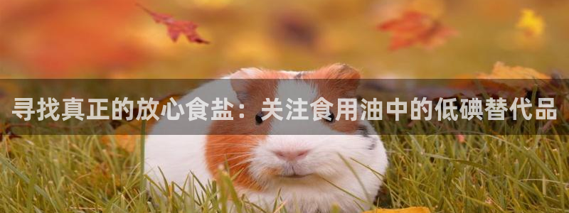 威九国际客服电话是多少