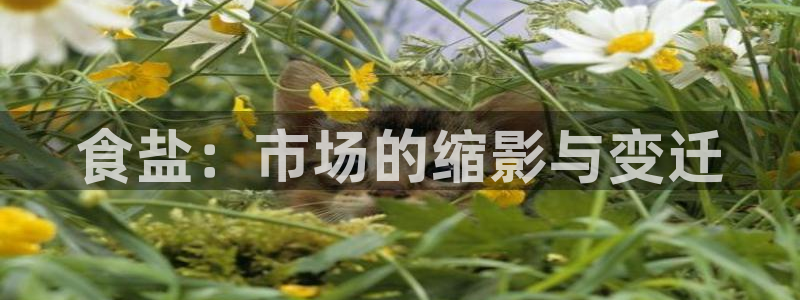 威九国际下载