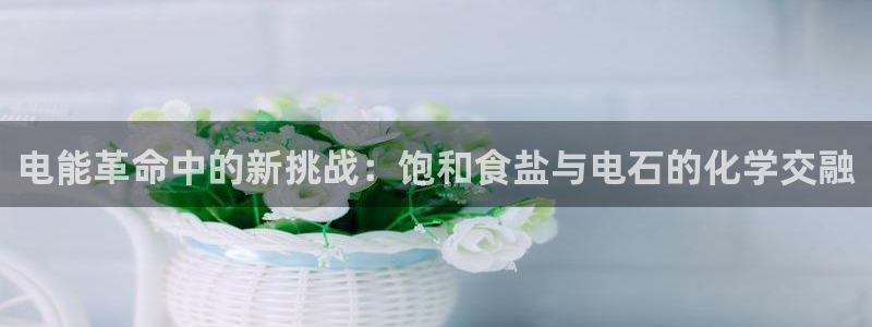 威九国际客服电话号码是多少