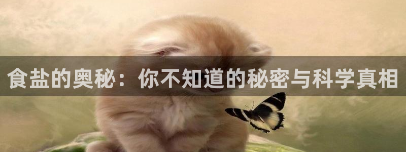 威九国际风情万种