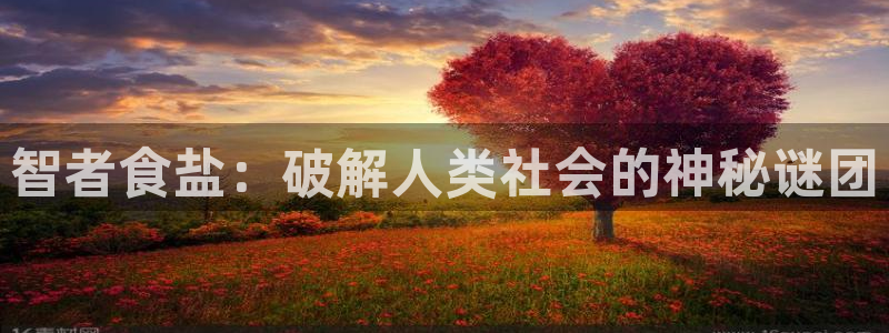 威九国际66m66