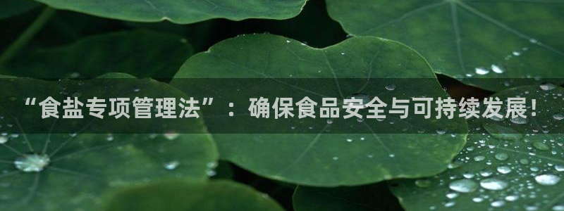 威九国际最新