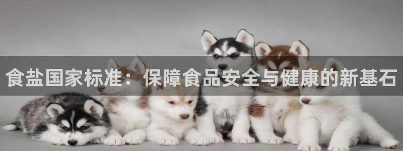 威九国际网站怎么样