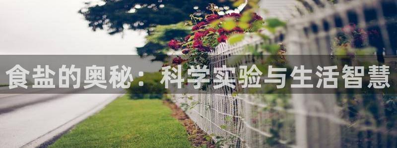 威九国际66m-66