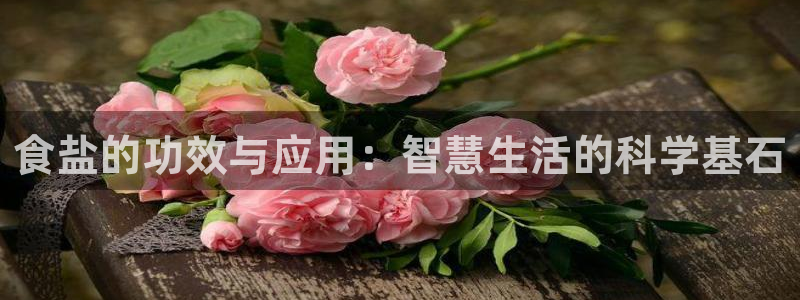 威九国际v96 bet会黑吗