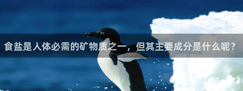 威九国际客服电话号码