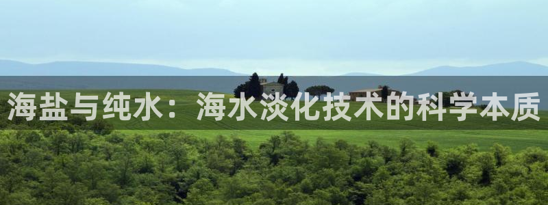 78mapp威九国际媒体央视