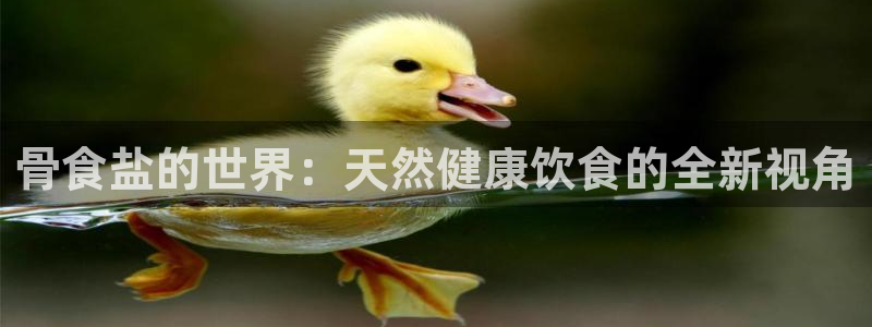 威九国际com：骨食盐的世界：天然健康饮食的全新视角