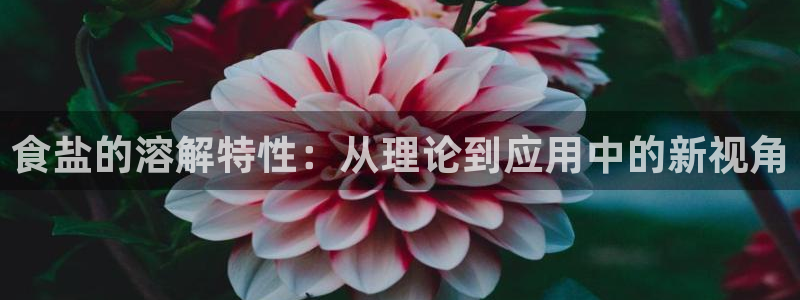 威九cp