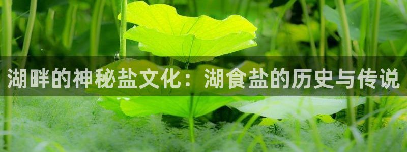 威九国际66m66成长模式免费